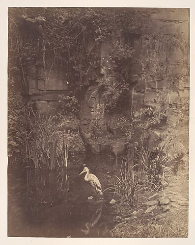 Piscator, No. 2